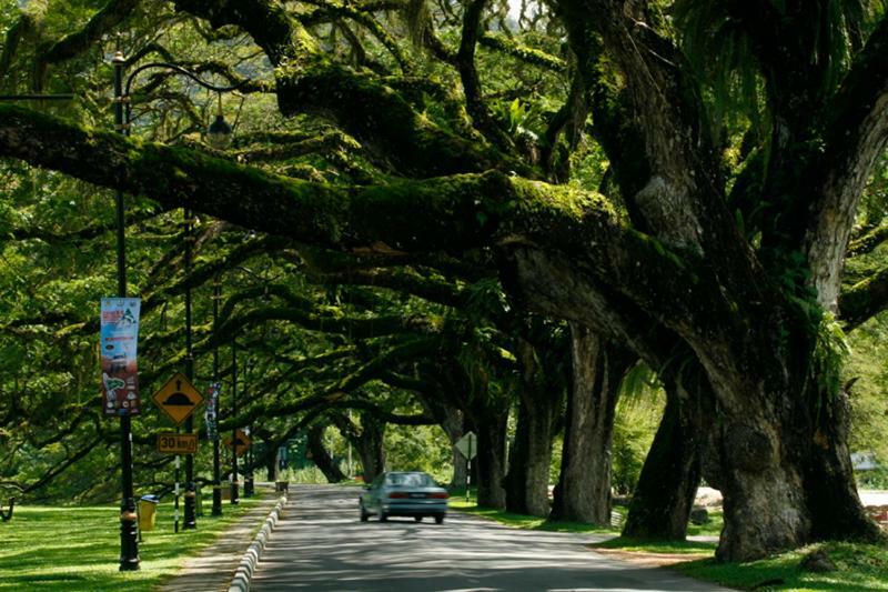 Pearl Inn Plt Taiping Buitenkant foto